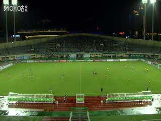 日韓貓圖片大全