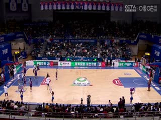 鹦鹉日韩动漫