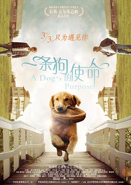狼友草在線歐美
